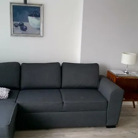 Apartament Borowska *